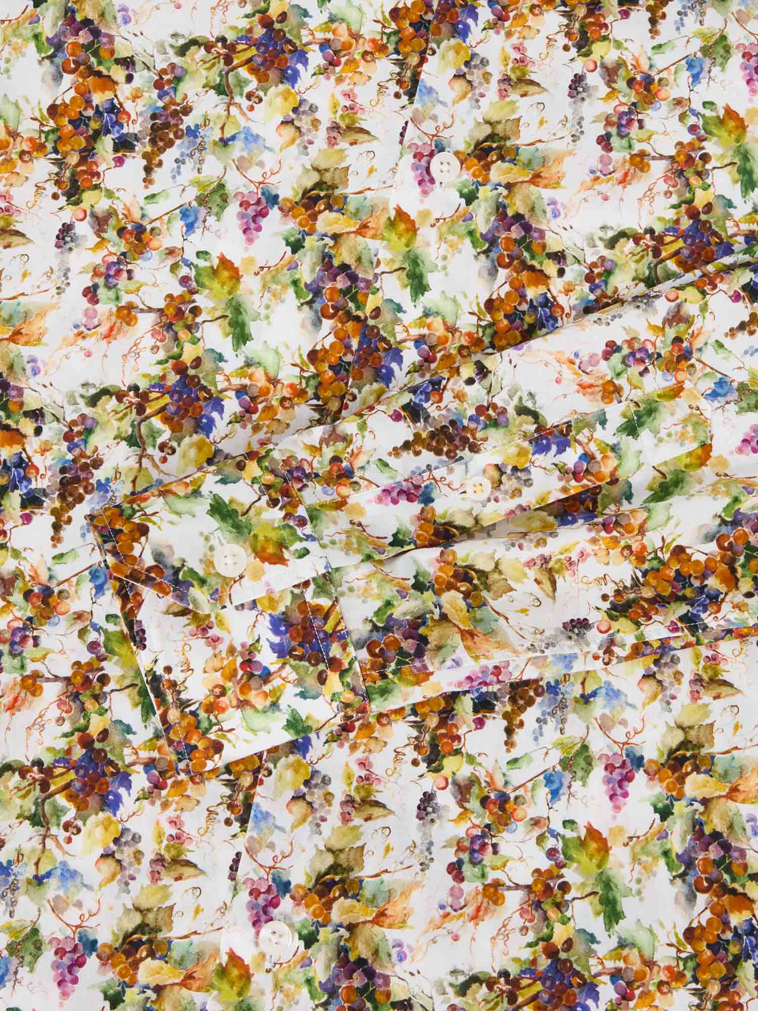 Reynolds Vineyard Print Poplin Shirt image