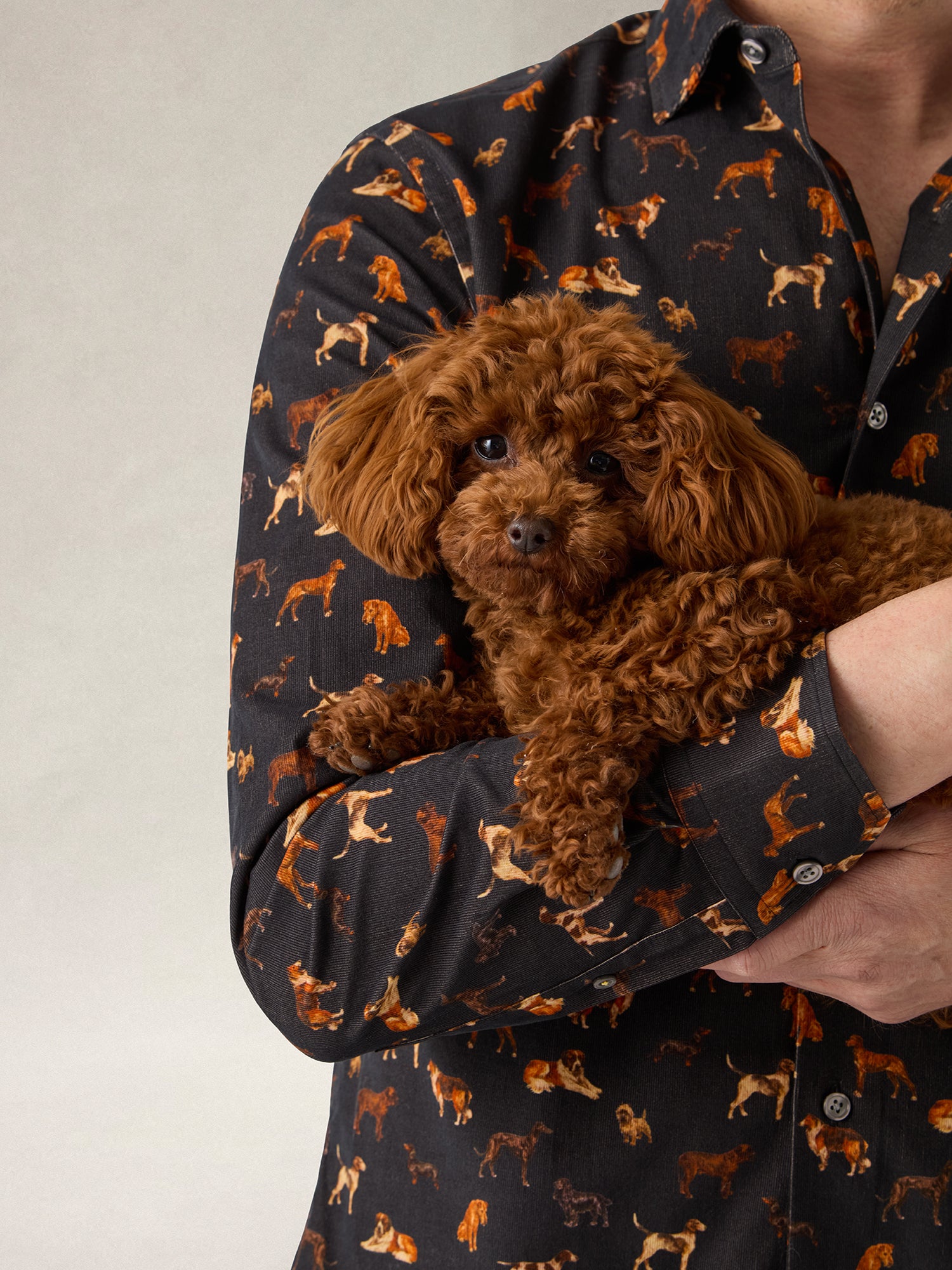 Reynolds Dog Print Pinwale Corduroy Shirt