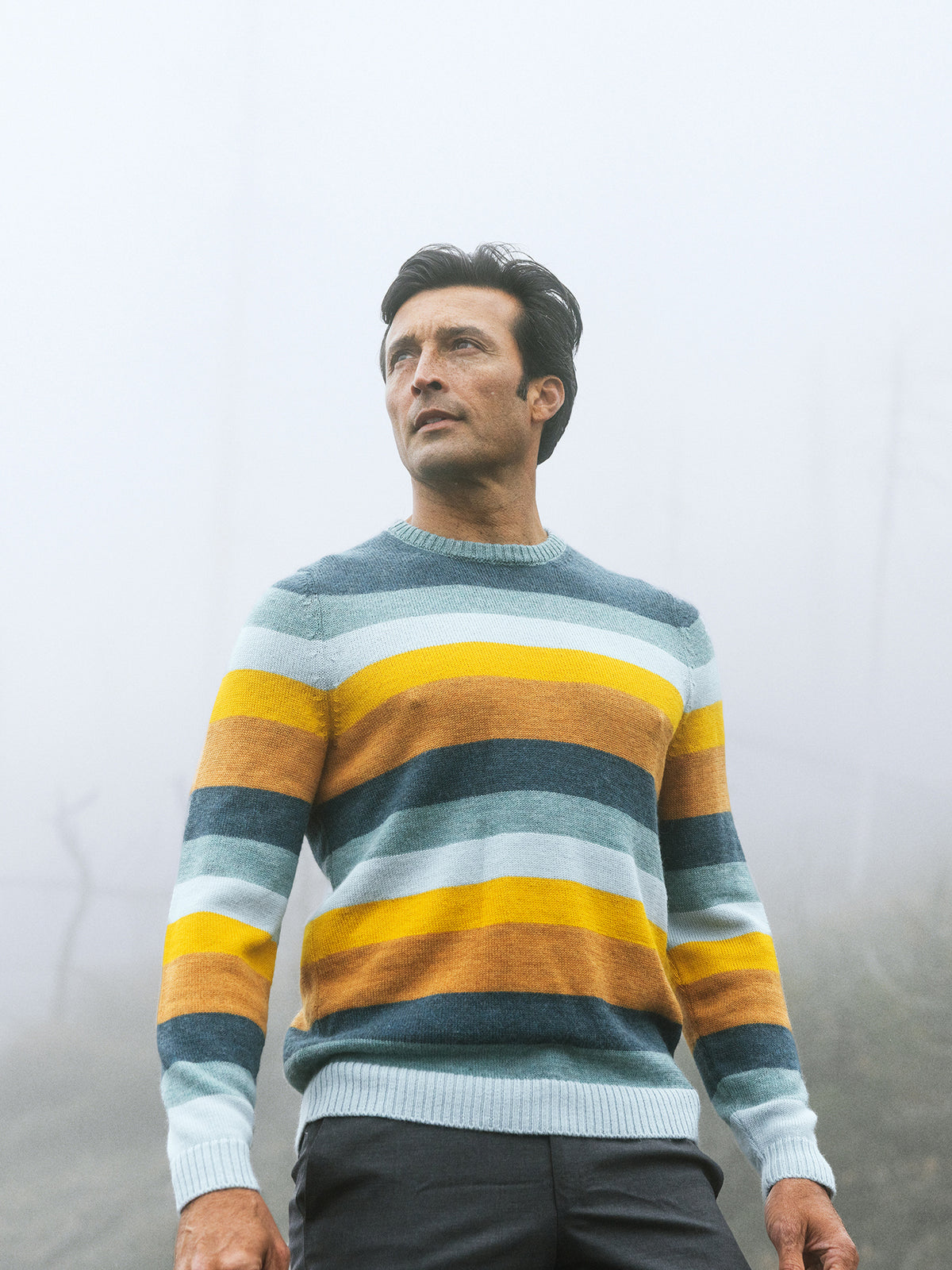 Radcliffe Striped Crewneck Sweater