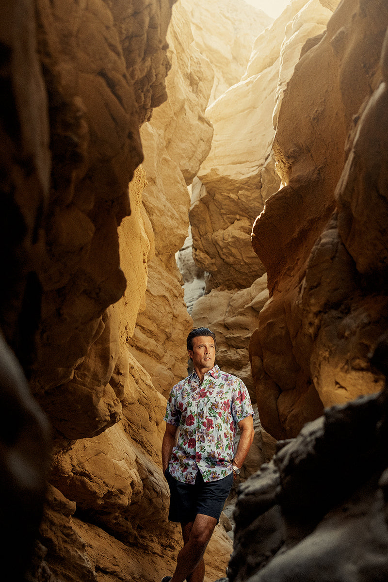 New For Spring hero image