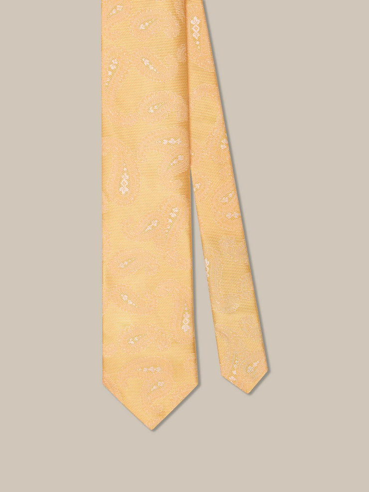 Robert Paisley Twill Best of Class Necktie