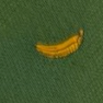 RT807 442 600_FRONT