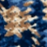Blue Multi