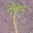 Robert Palm Silk Linen Best of Class Necktie
